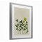 Stupell Industries Hidden Gems Botanicals Framed Print Under Glass, design by Grace Popp